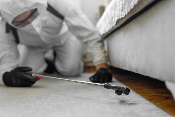 Professional Cockroach Control technician working in Spring Green, WI